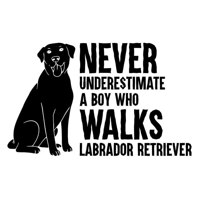 Never Underestimate A Boy Who Walks Labrador Retri