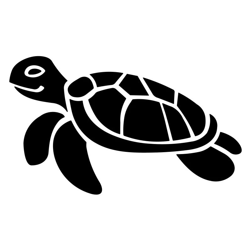 tortue