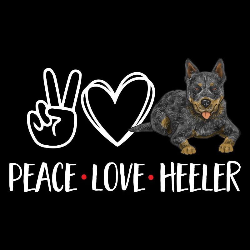 Bouvier australien Red Blue Heeler