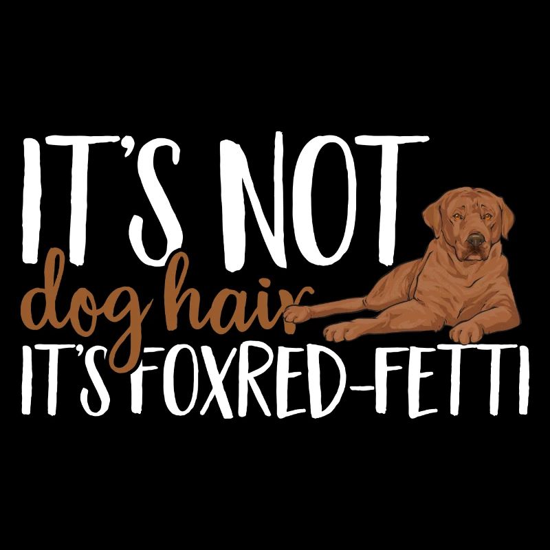 Foxred Labrador Fuchsroter Labrador Retriever