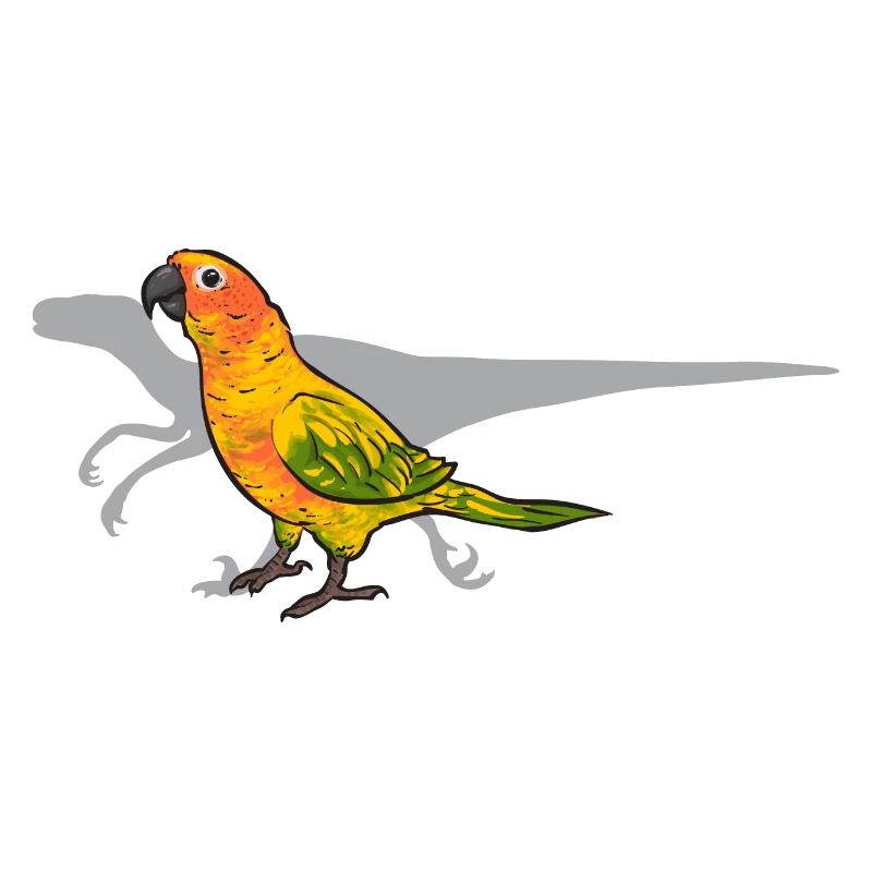 Perruche, Perroquet, Perruche, Oiseau