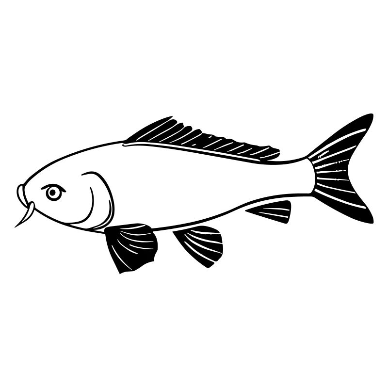 poisson