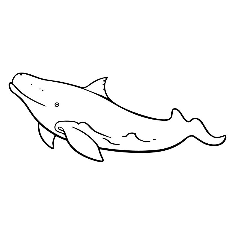 Balena