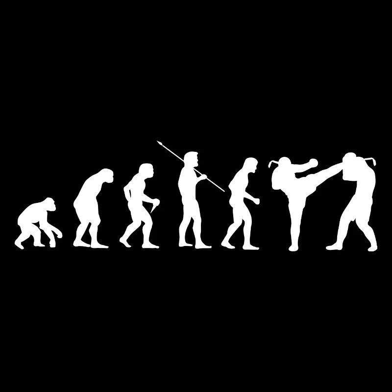 Evolution Kampfsport Karate Judo Kampfkunst Bjj