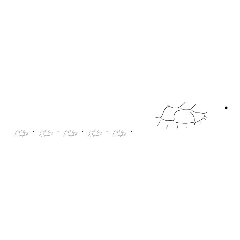 Turtle Turtle