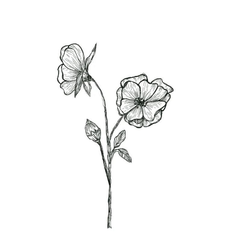 Fleurs Fleurs noires