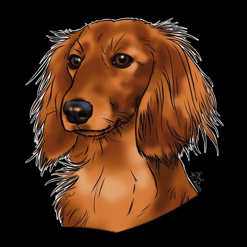 long haired dachshund (without text) dark textiles
