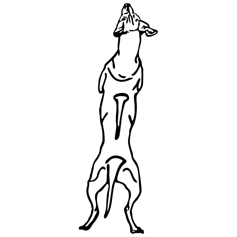 Ridgeback back