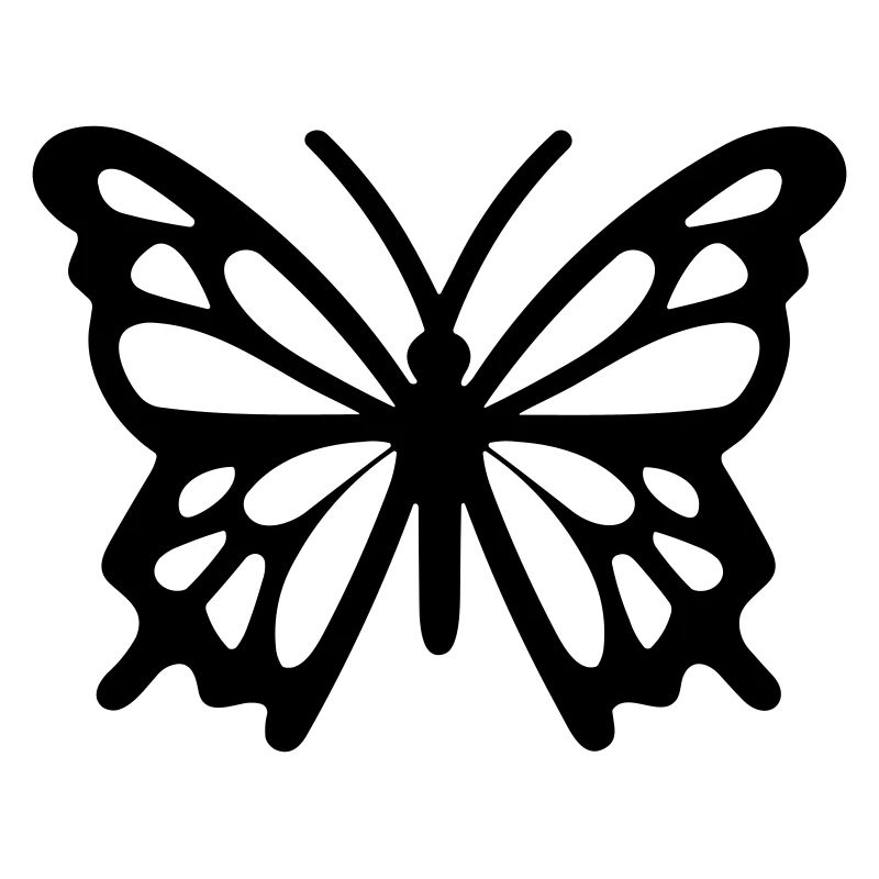 papillon