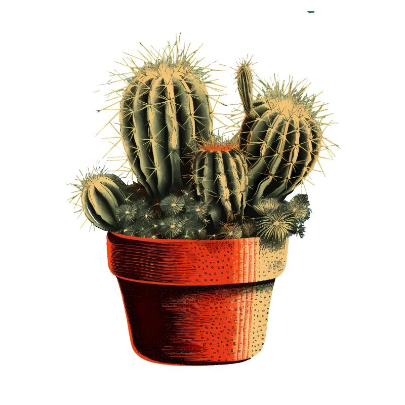 Petit cactus vert dans un pot de fleurs