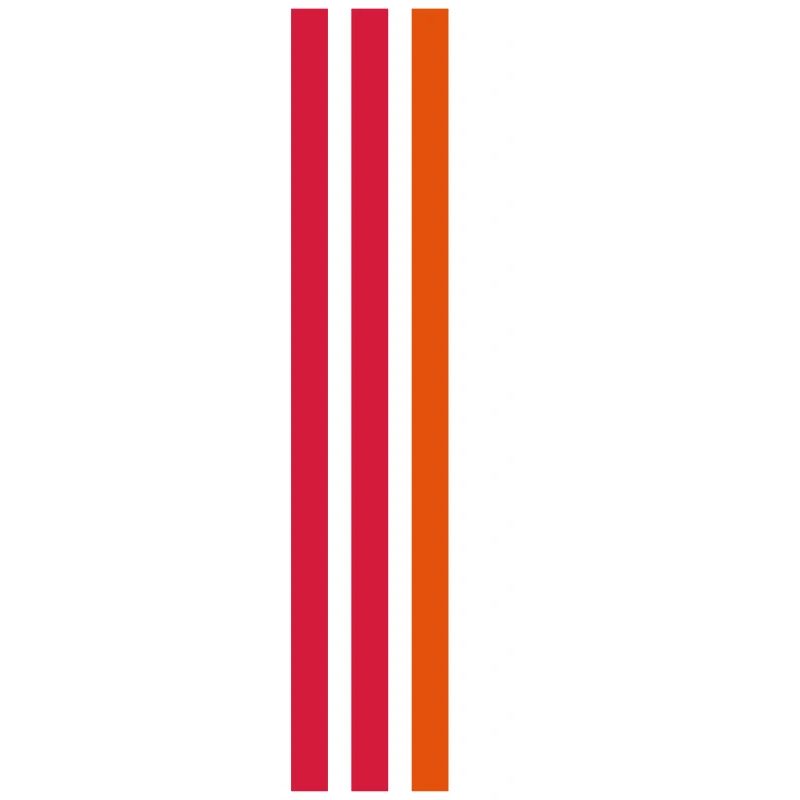 Design strisce