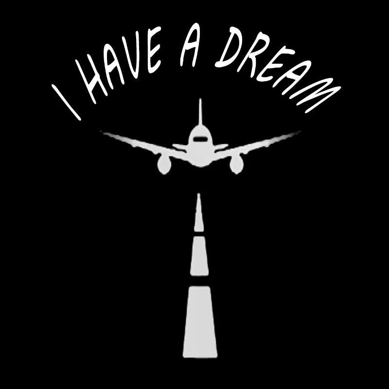 fly a plane