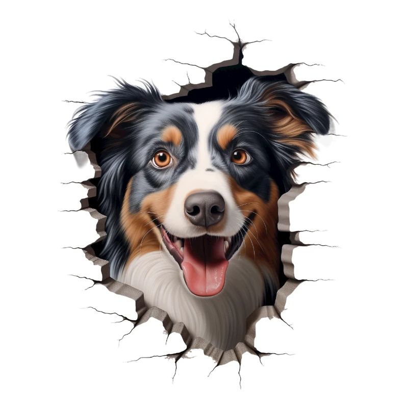 Australian Shepherd Owner - Perfect Aussie