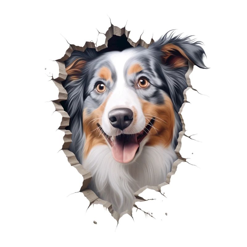 Australian Shepherd Owner - Perfect Aussie