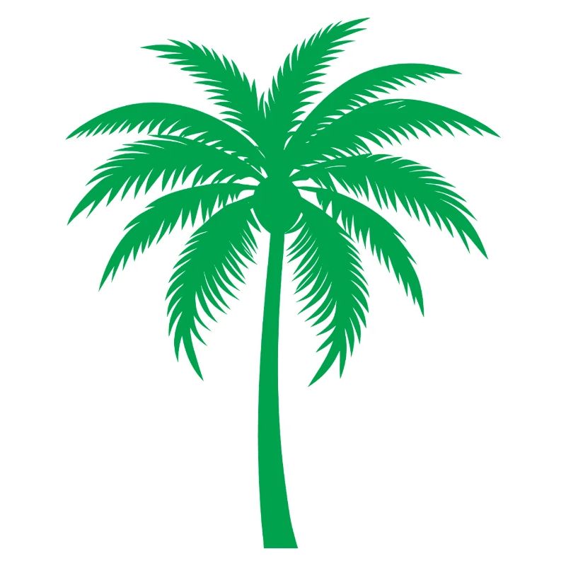 Palm tree