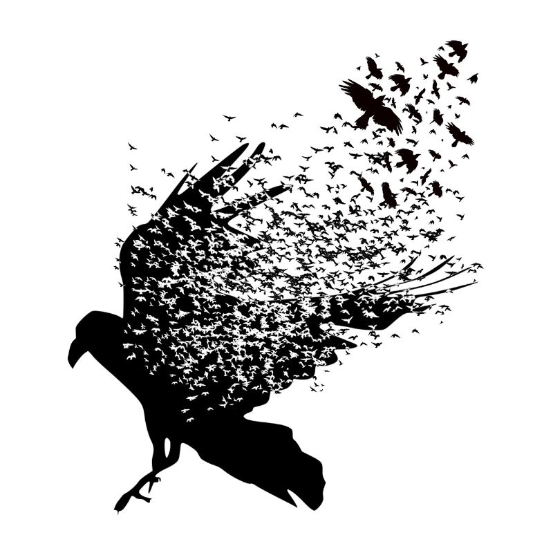 Vikings - Graphique des corbeaux Walhalla