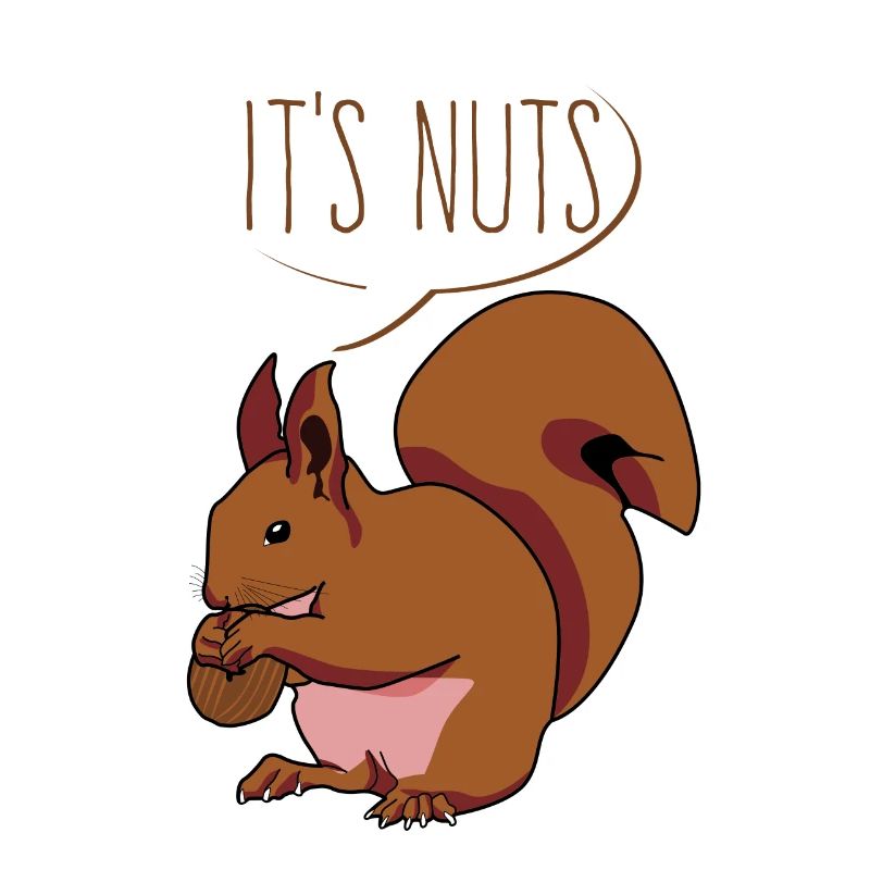 Eichhörnchen It's Nuts Squirrel