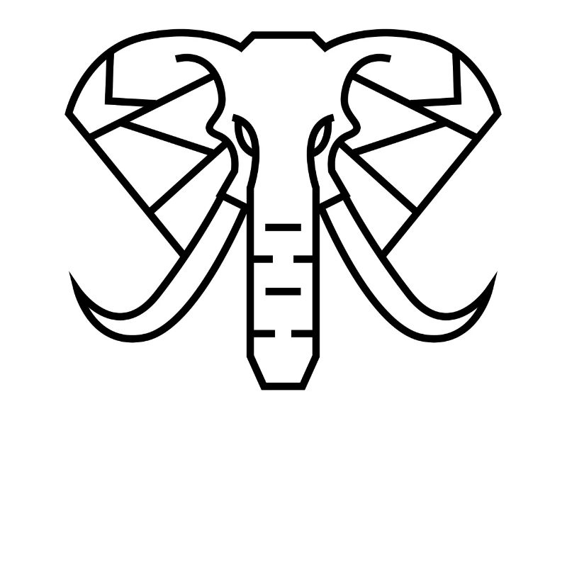 Elephant Pattern Elephant
