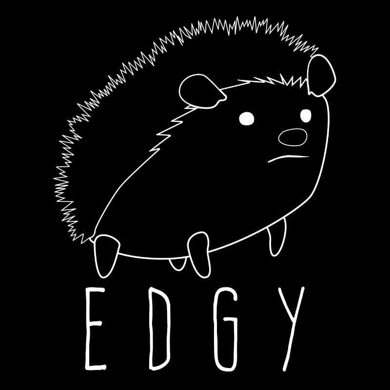 Hérisson Hérisson énervé