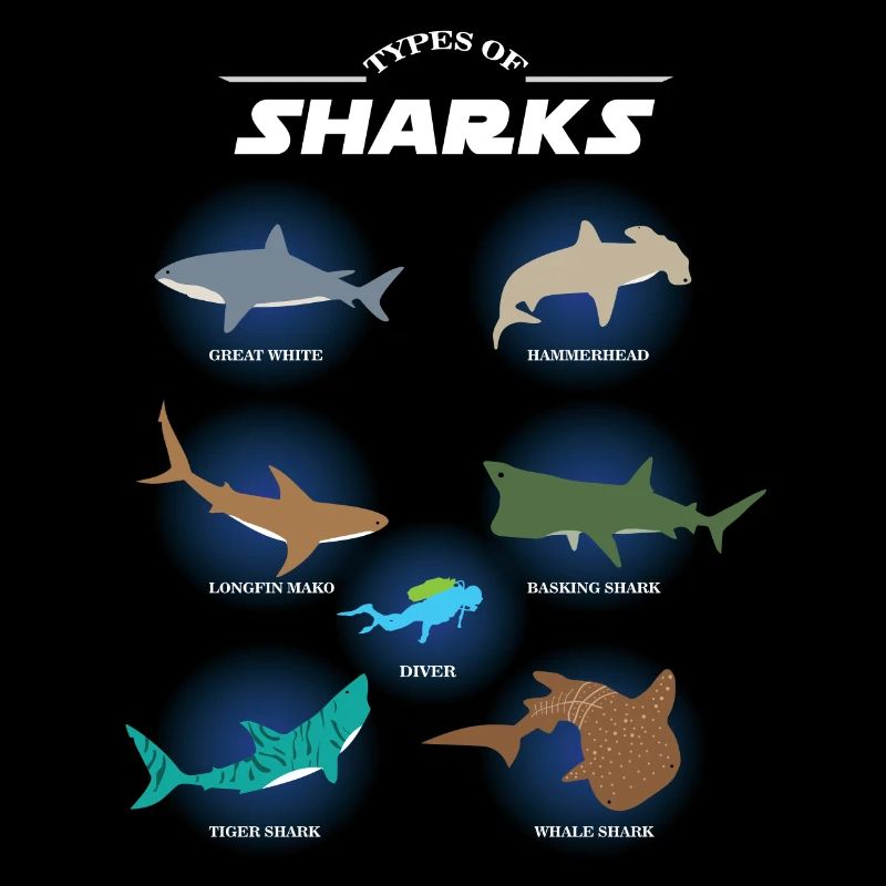 Espèces de requins types de requins, requins marteaux, plongeurs