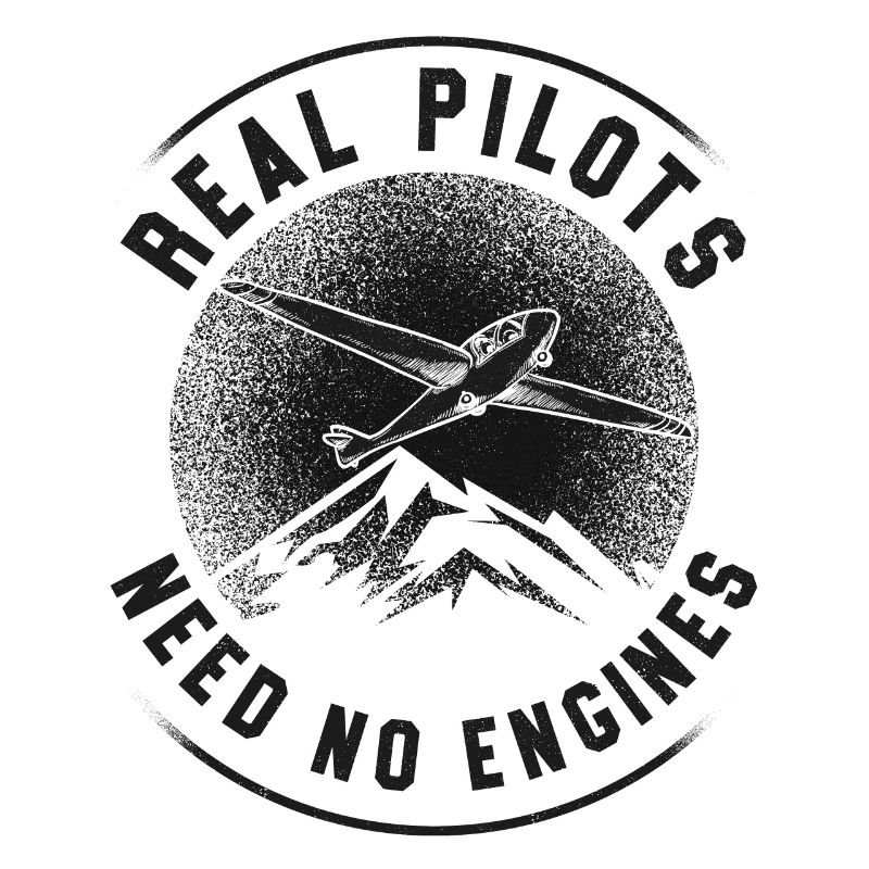 Airplane Pilot Glider Plane