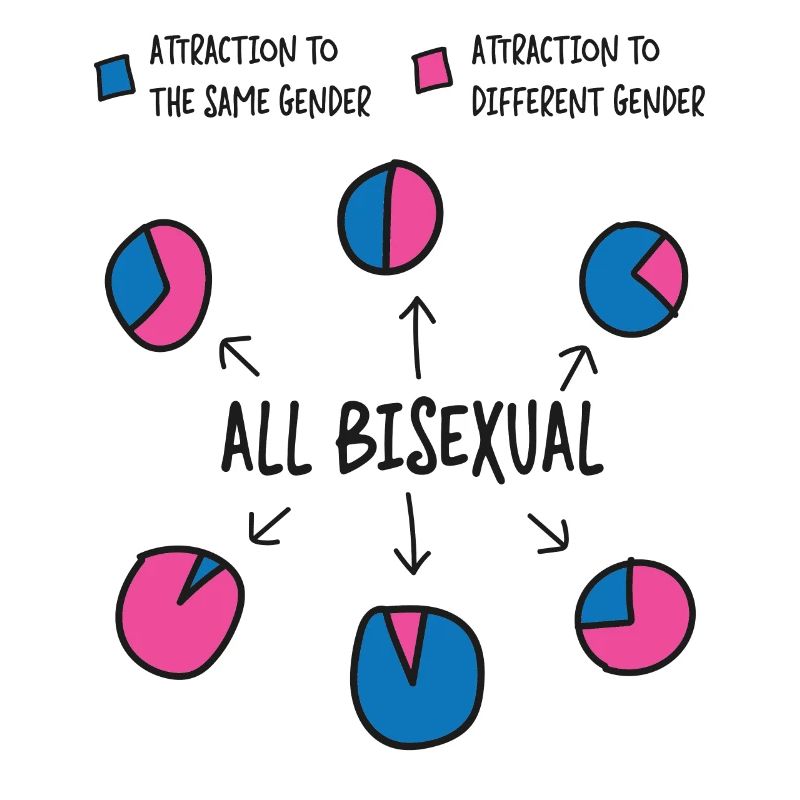 Bisexual Bi Pride Flag Pie Chart