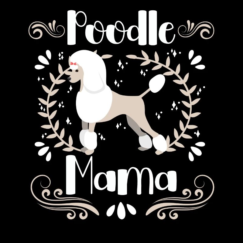 Caniche Mama Chien mignon Caniche standard