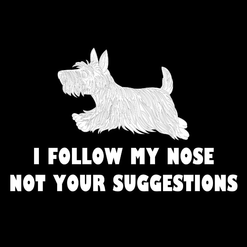 Scottish Terrier je suis mon nez