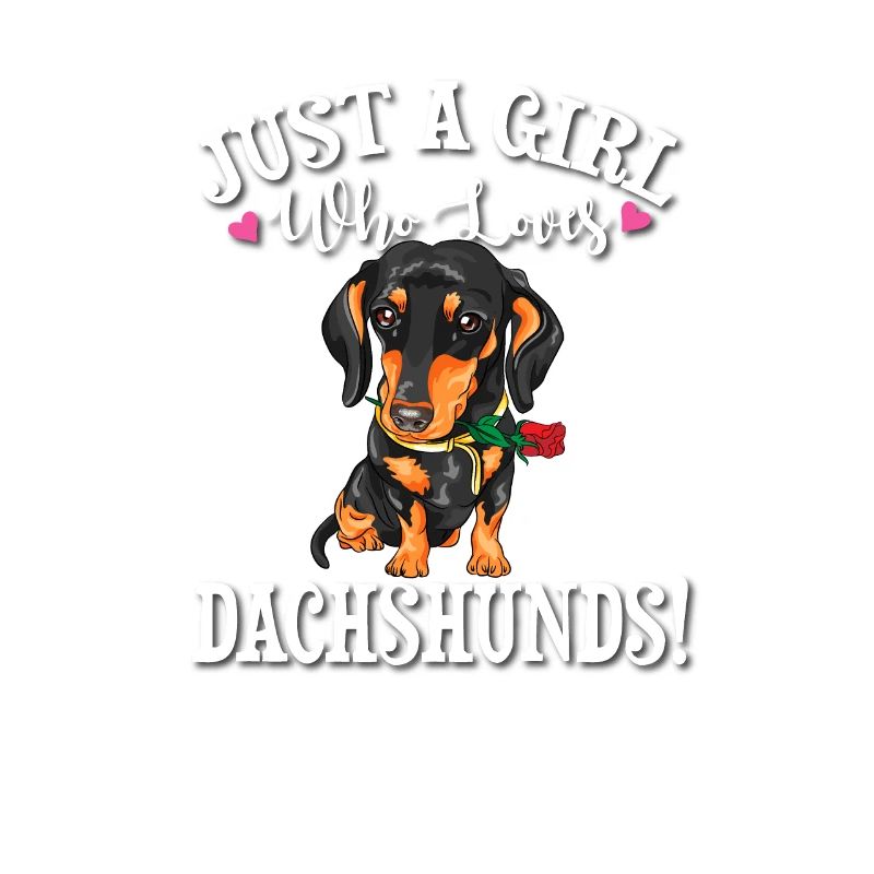 Black Dachshund