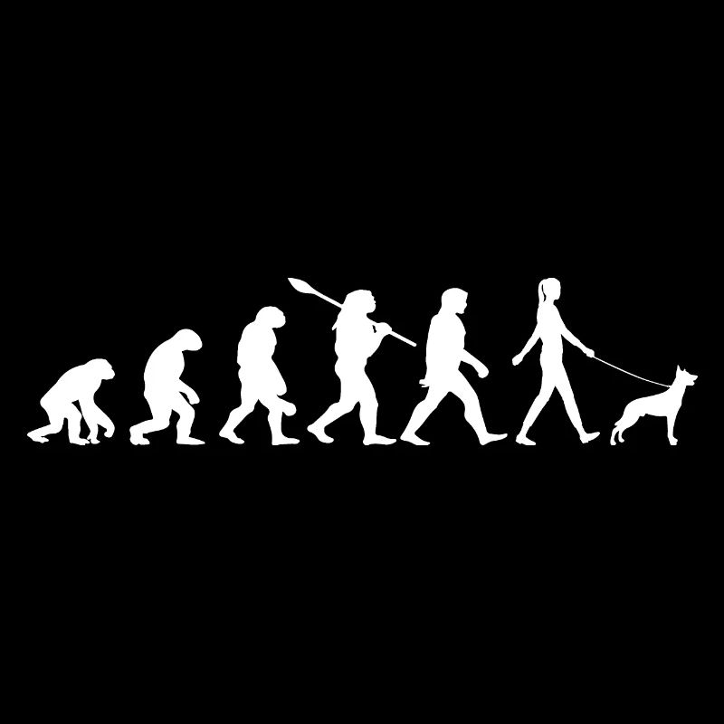 Evolution Funny Belgian Shepherd Dog Malinois