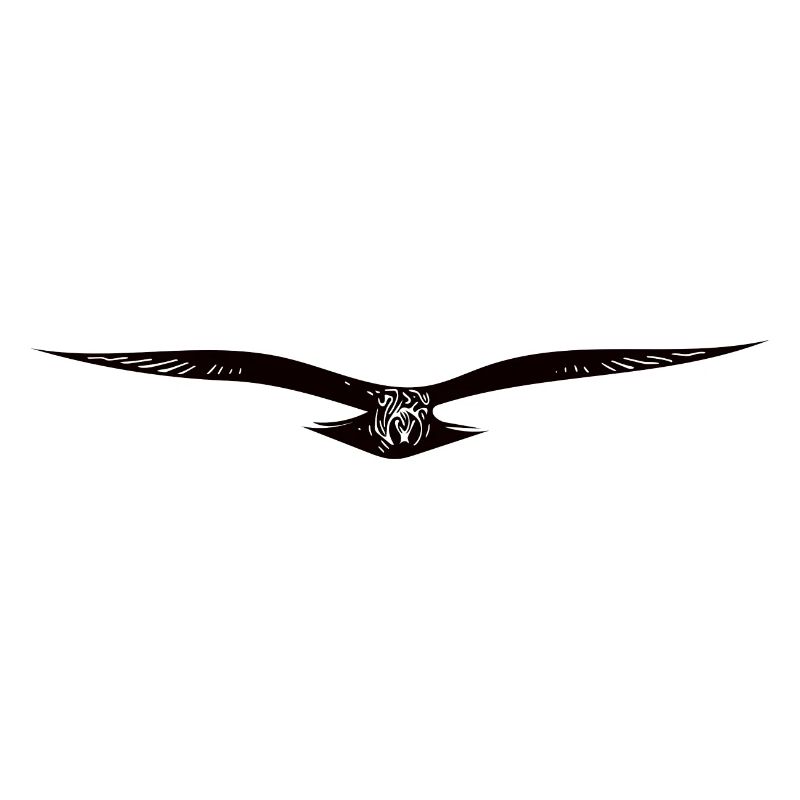 Aigle volant élégant