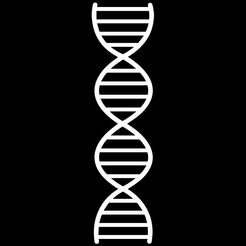 DNA Double Strand