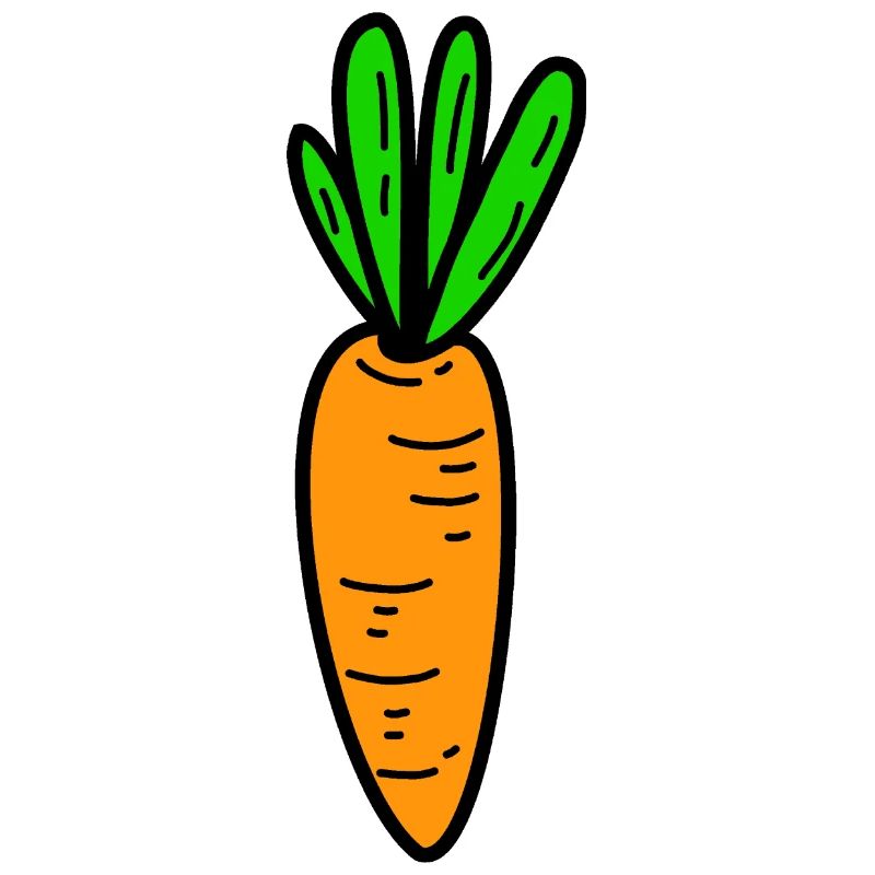 Carrot carrot vegetables