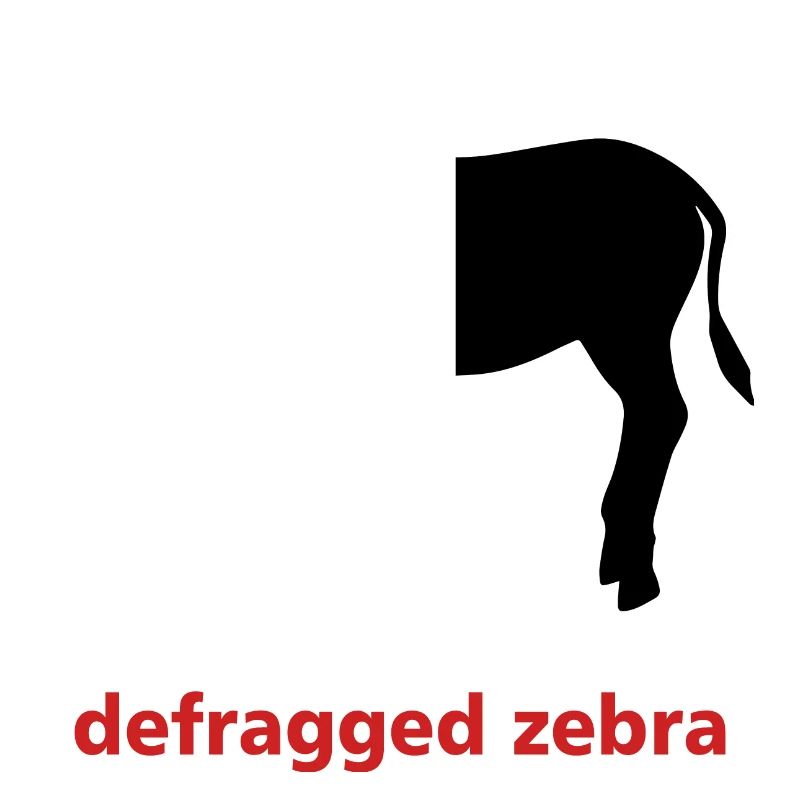 Defragged zebra informatique programmation cadeau