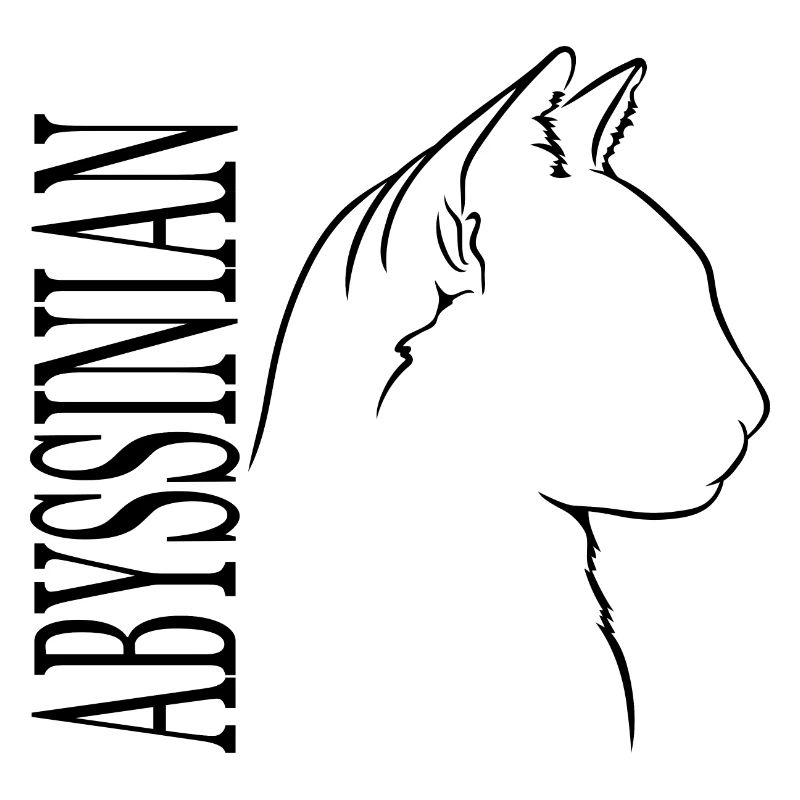 Abyssinian Profil Katzen Katze Wilsigns