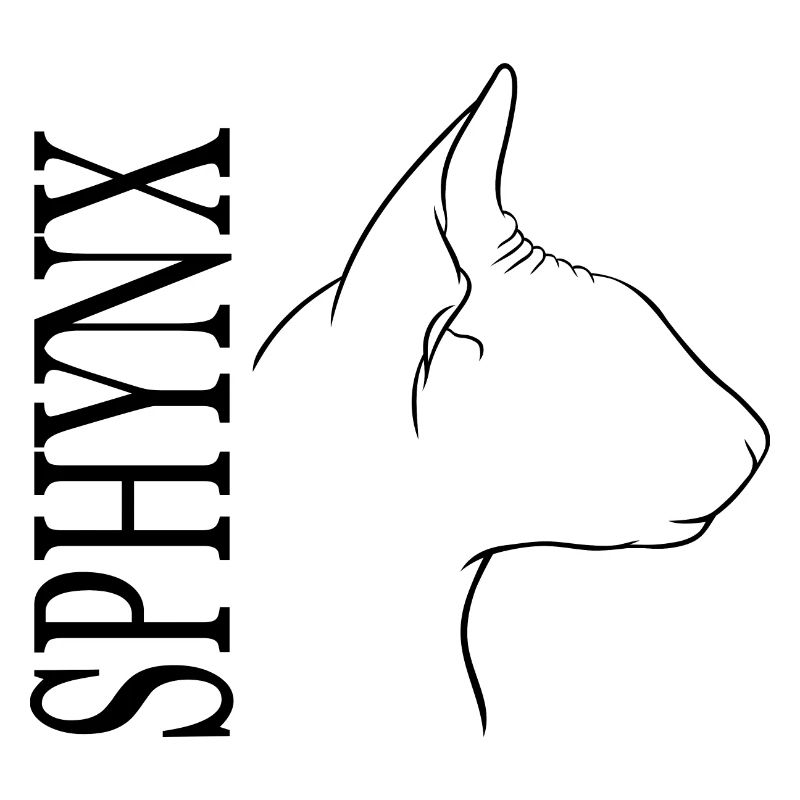 Profil Sphynx Chat Chat Wilsigns