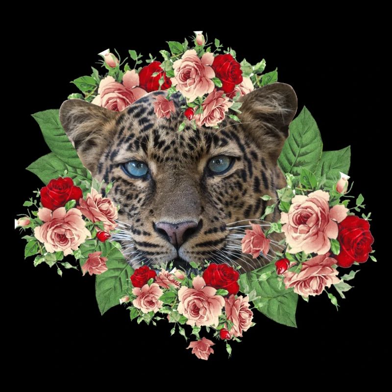 Leo Le Chat