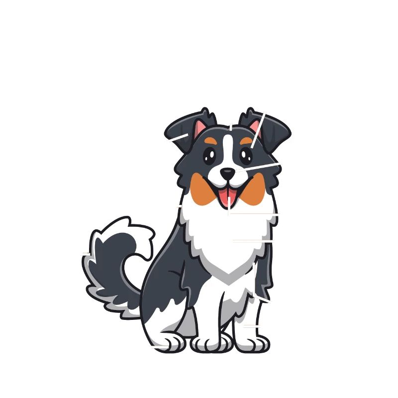 Australian Shepherd Aussie Dad Aussie Mom