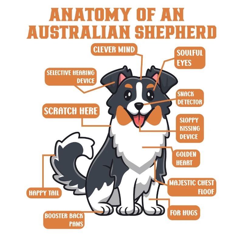 Australian Shepherd Aussie Dad Aussie Mom