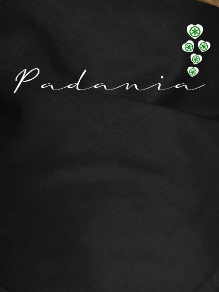 Padanie