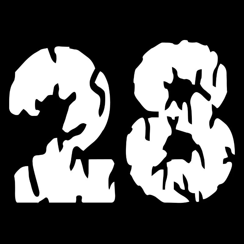 Maillot 28 numéros