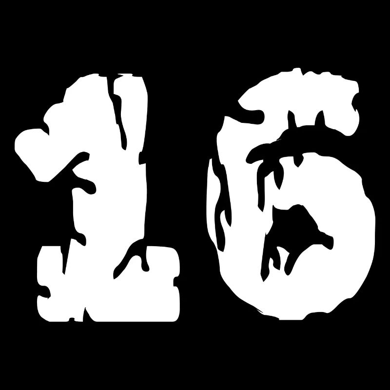 Maillot 16 numéros