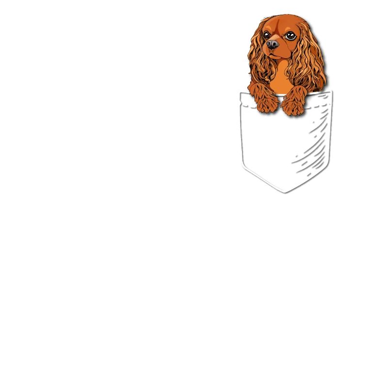 Ruby Cavalier King Charles Spaniel
