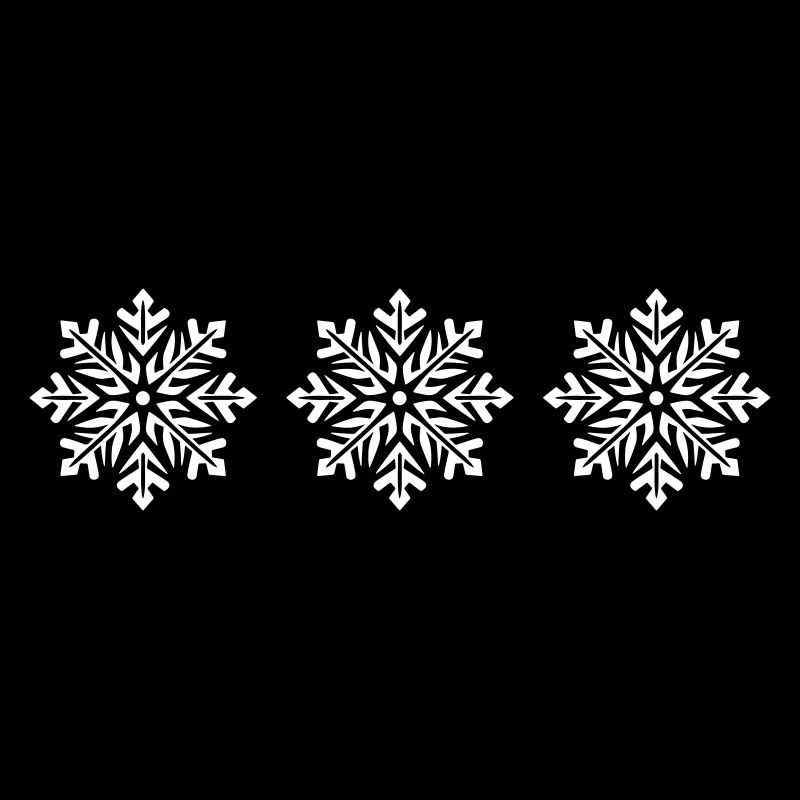 Snowflake Snow Icon