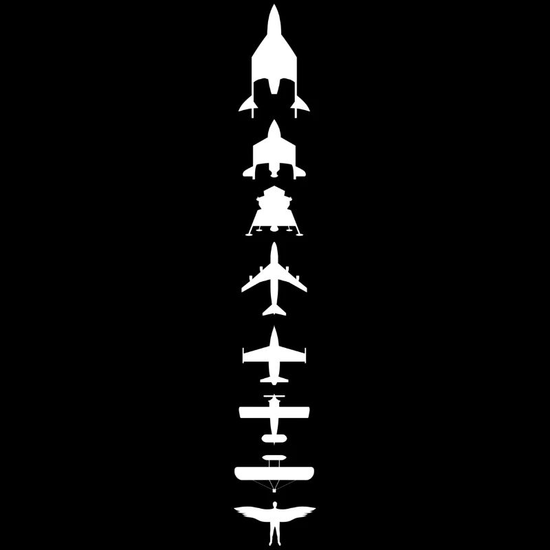 Evolution des Fliegens