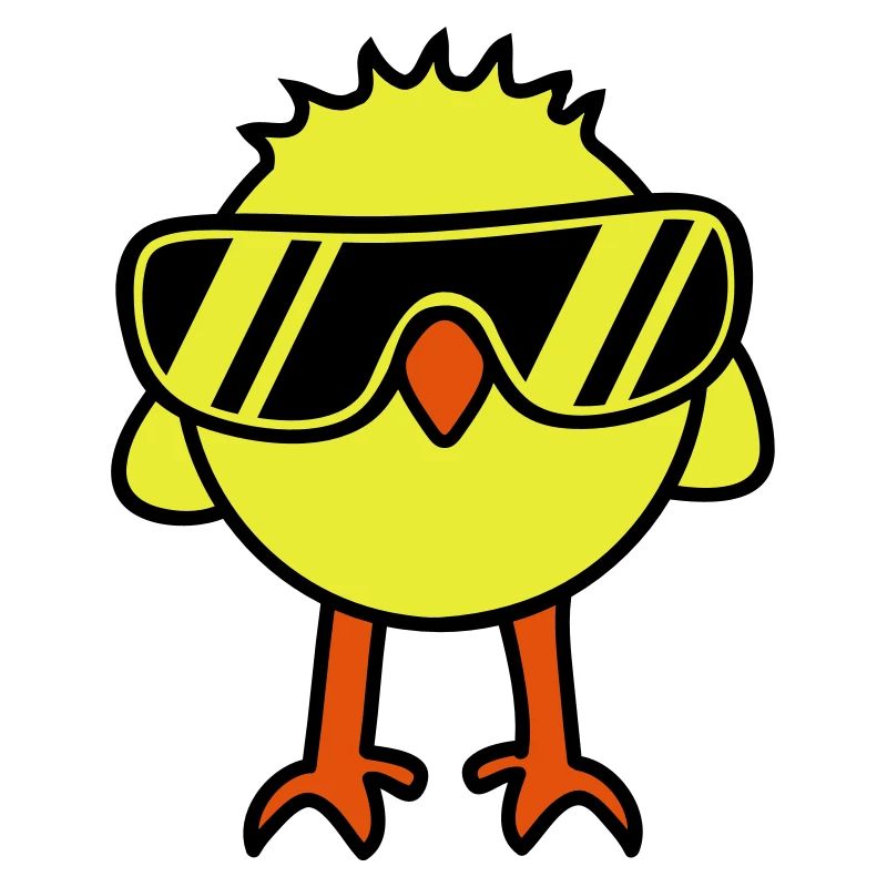 Cool Chick
