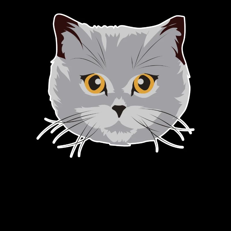 Wunderschöne Britisch Kurzhaar Katze BKH Geschenk