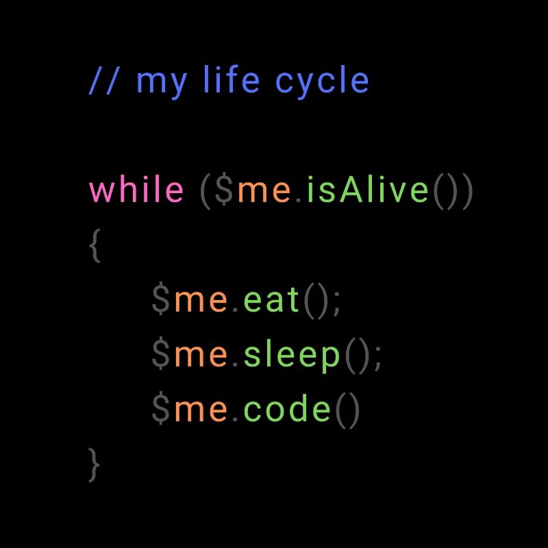my life cycle dev