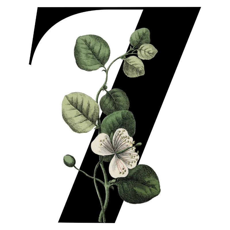 Nummer 7 Blumengrün -7. Blumengeburtstag