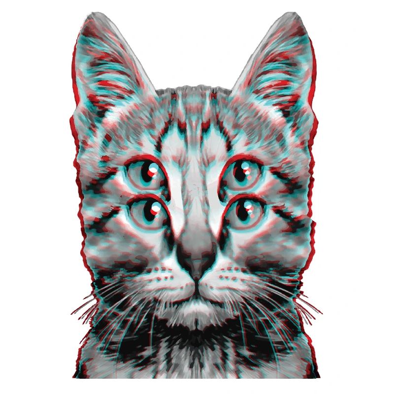 Glitch Chat Étrange Chaton Illusion D’optique